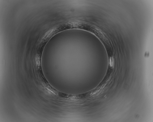 X0000091461155200708161517