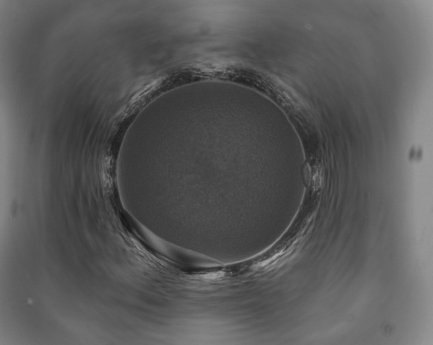 X0000091461156200708161517