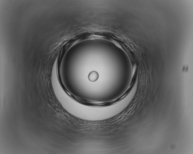 X0000091461157200708161517