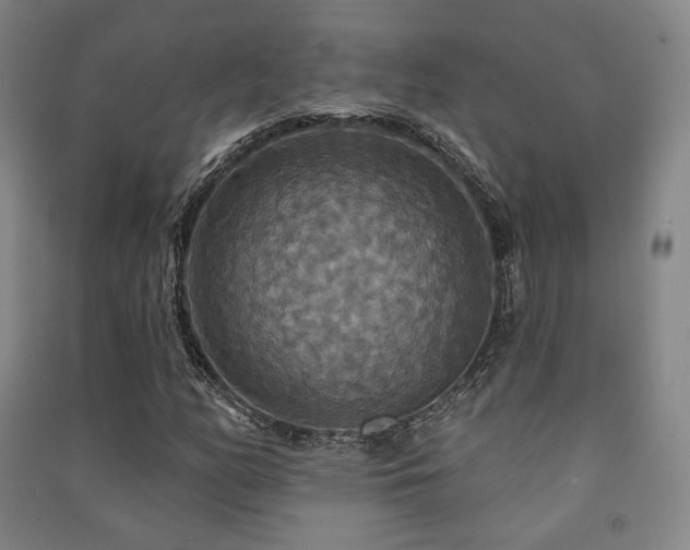 X0000091461158200708161517