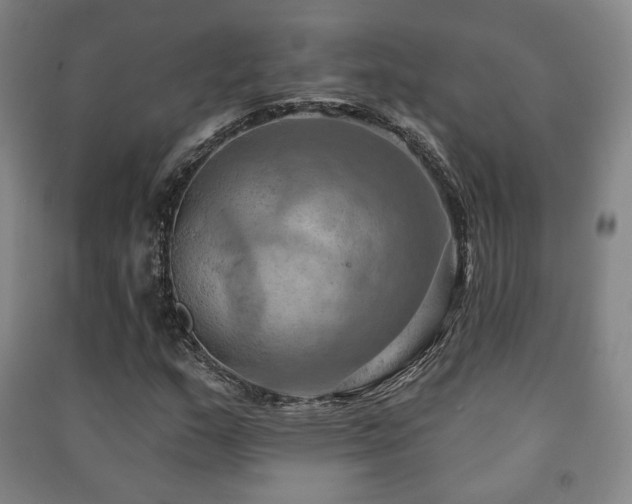 X0000091461159200708161517