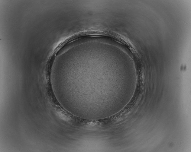 X0000091461160200708161517