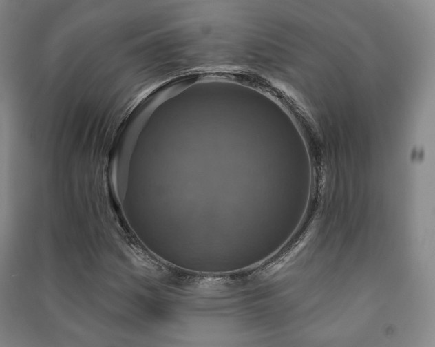 X0000091461161200708161517