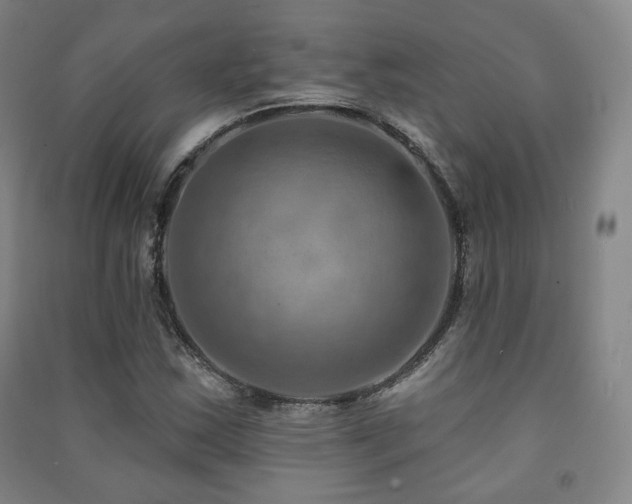 X0000091461163200708161517