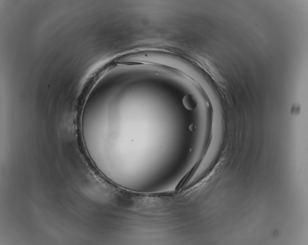X0000091461164200708161517