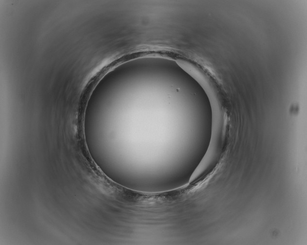 X0000091461165200708161517