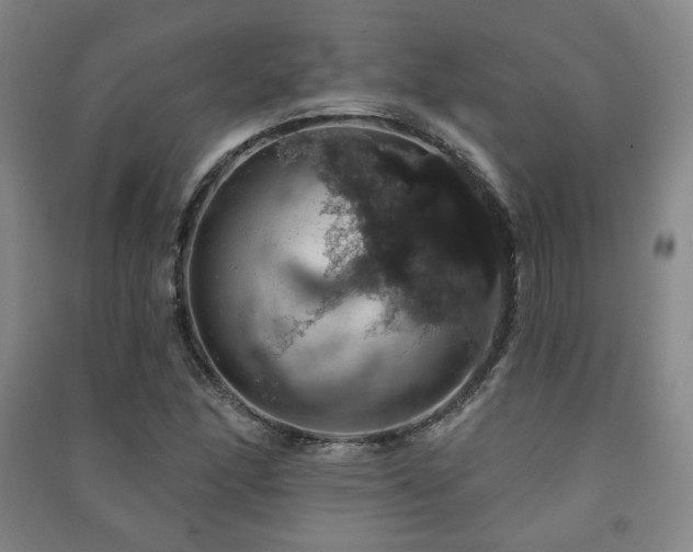 X0000091461166200708161517