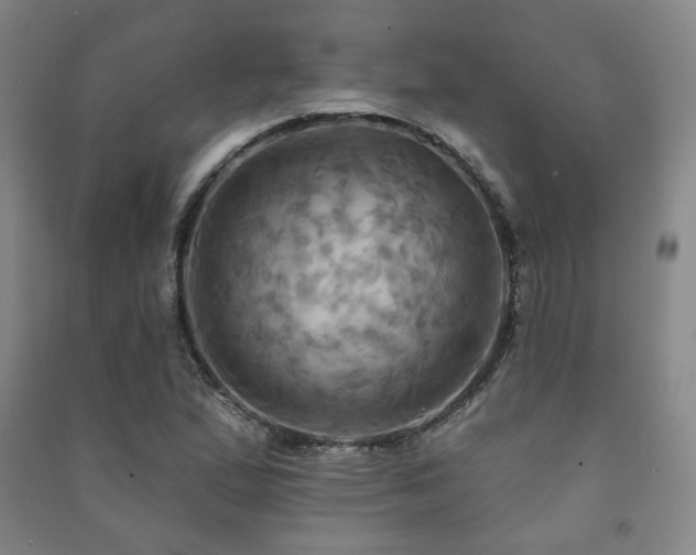 X0000091461167200708161517