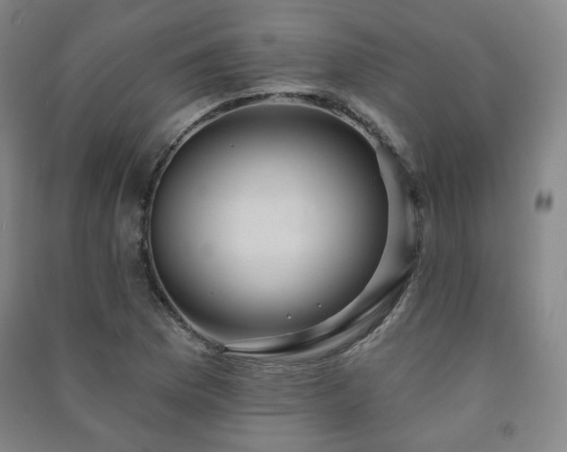 X0000091461169200708161517