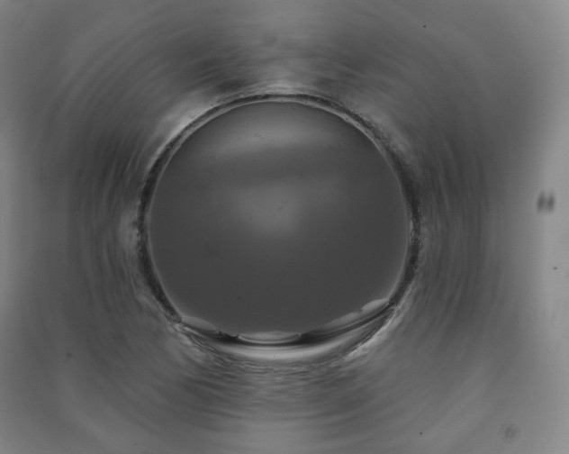 X0000091461170200708161517