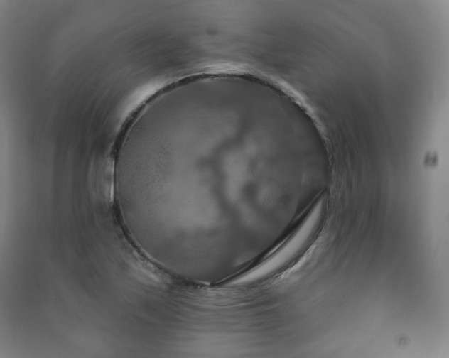 X0000091461171200708161517