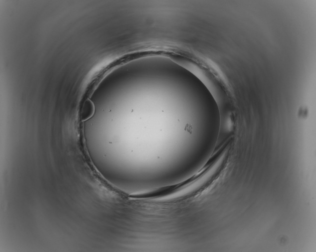 X0000091461172200708161517