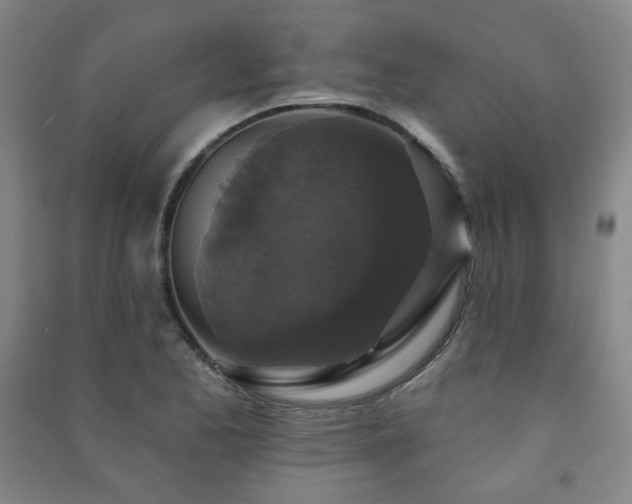 X0000091461173200708161517