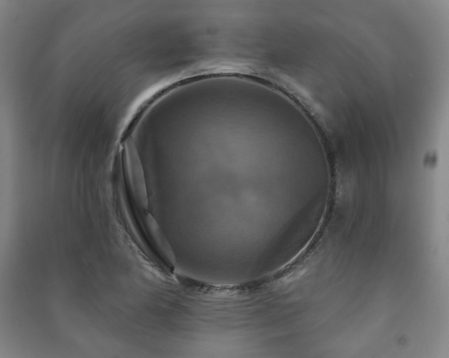 X0000091461174200708161517