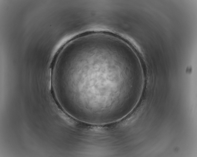 X0000091461175200708161516