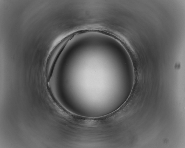 X0000091461176200708161516