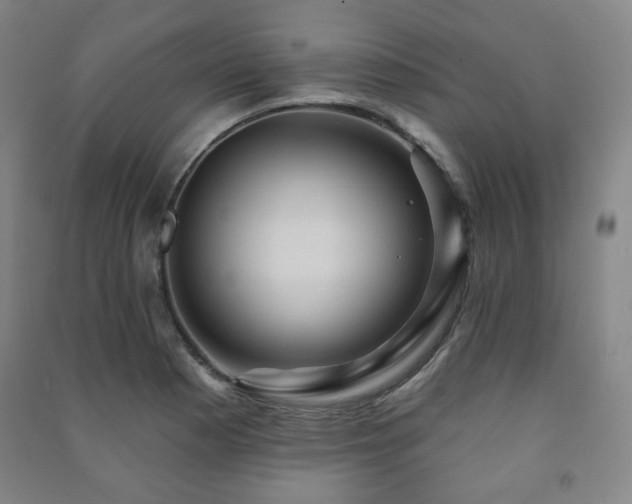 X0000091461177200708161516