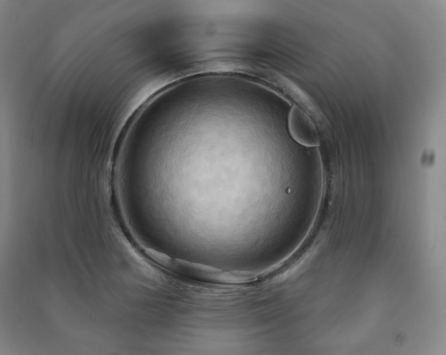 X0000091461178200708161516
