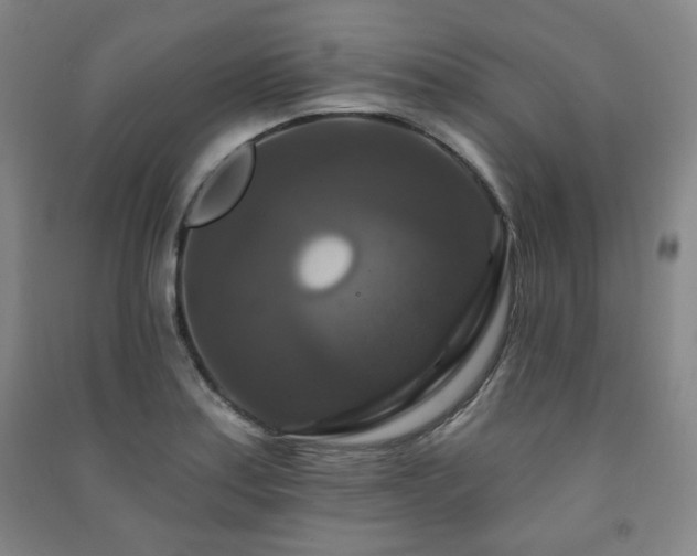 X0000091461179200708161516