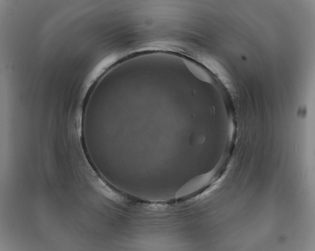 X0000091461180200708161516