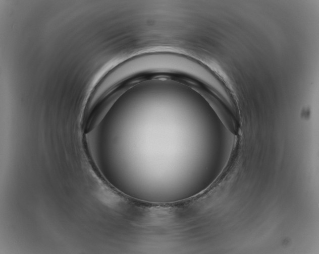 X0000091461181200708161516
