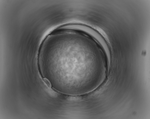 X0000091461183200708161516