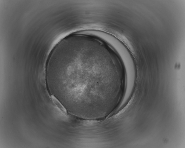 X0000091461184200708161516