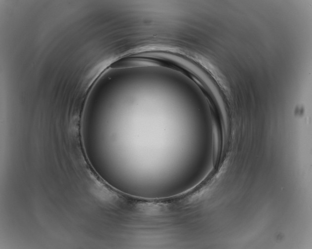 X0000091461185200708161516