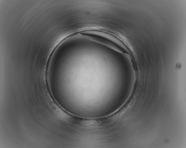 X0000091461186200708161516