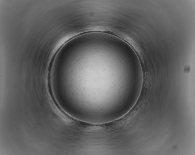 X0000091461187200708161516