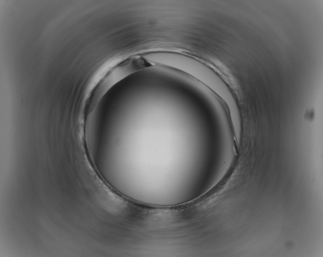X0000091461188200708161516