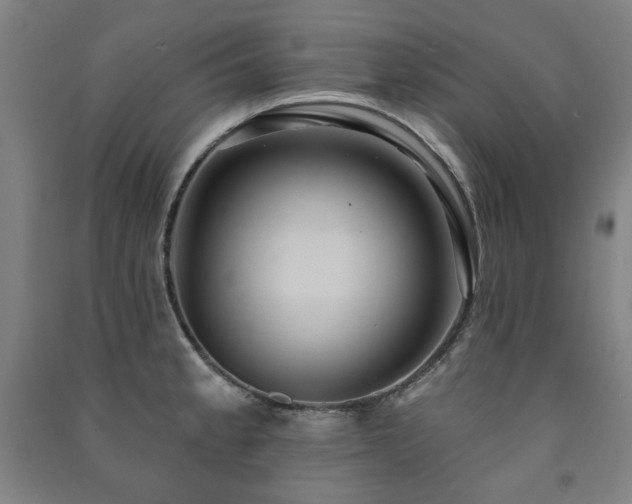X0000091461189200708161516