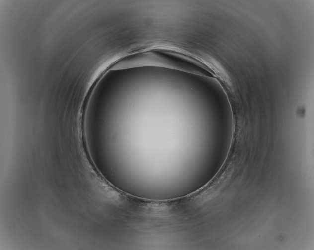 X0000091461190200708161516