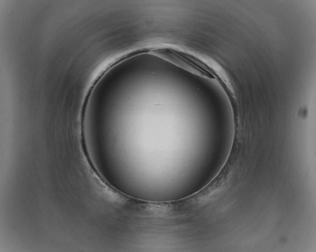 X0000091461191200708161516