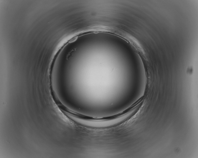 X0000091461192200708161516