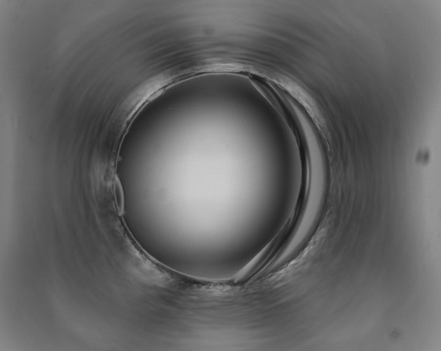 X0000091461193200708161516