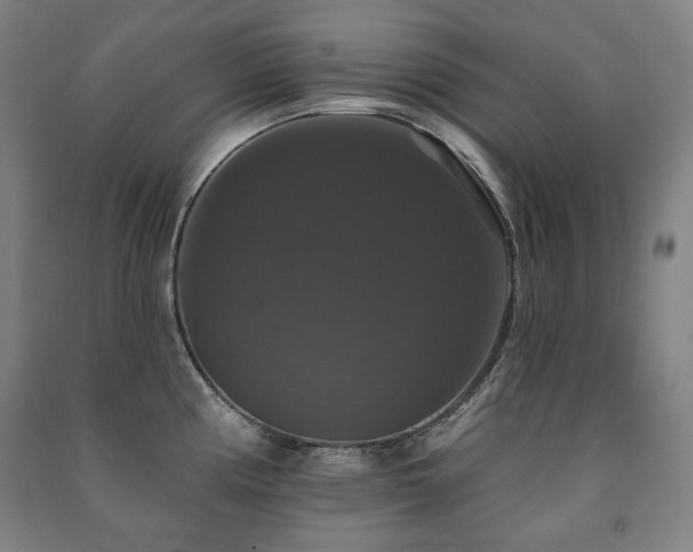 X0000091461194200708161516
