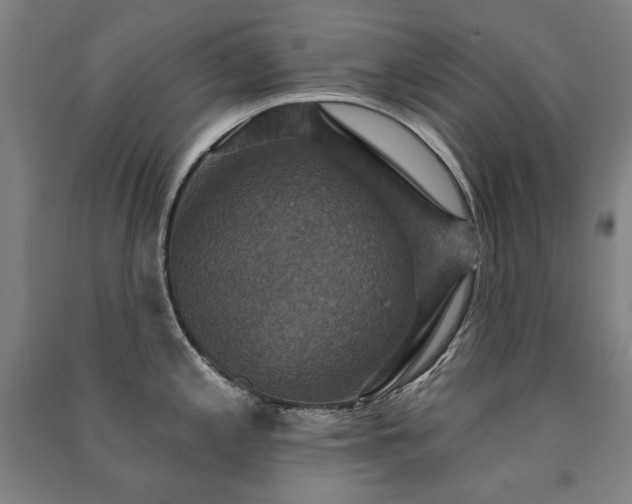 X0000091461197200708161516