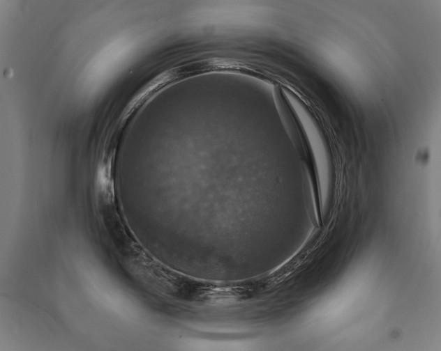 X0000091461198200708161516