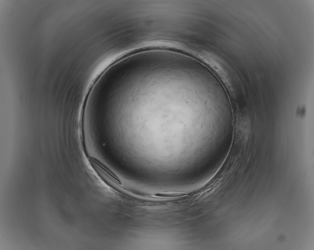 X0000091461199200708161516