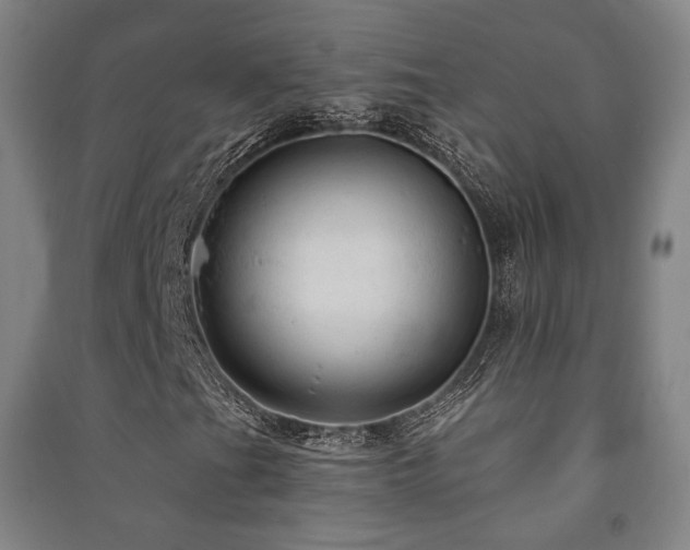 X0000091461201200708161515