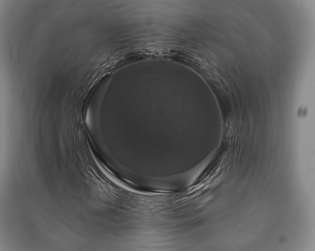 X0000091461202200708161515