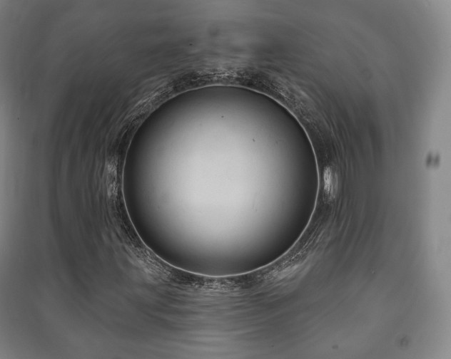 X0000091461203200708161515