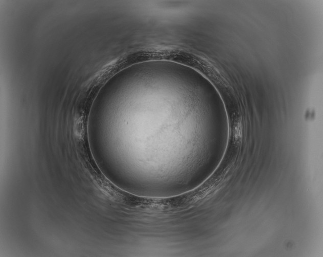 X0000091461204200708161515