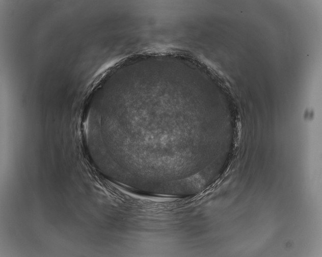 X0000091461206200708161515