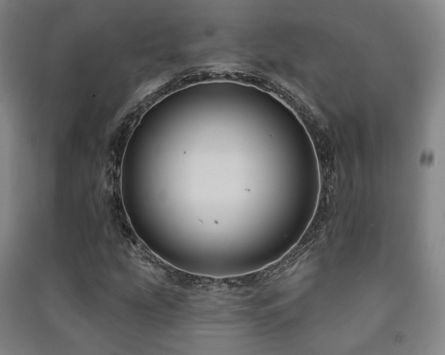 X0000091461207200708161515