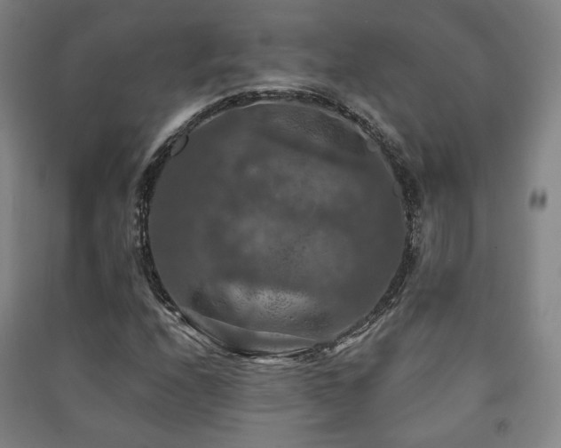 X0000091461208200708161515