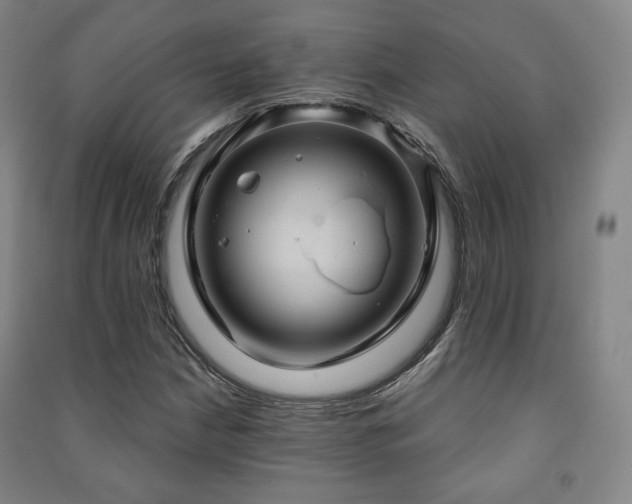 X0000091461210200708161516