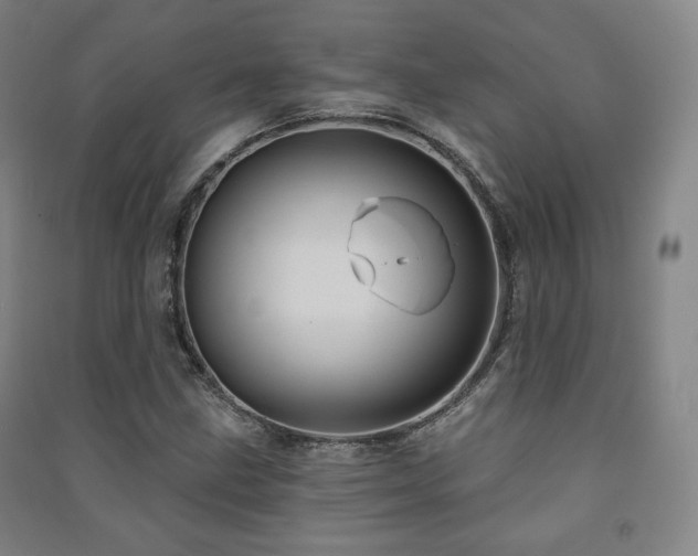 X0000091461211200708161516