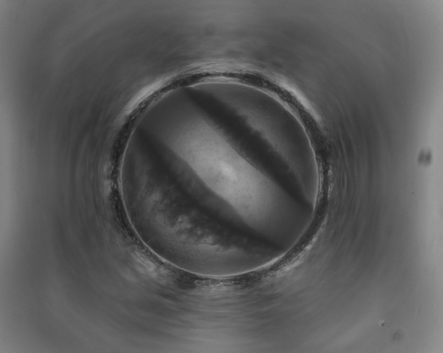 X0000091461213200708161516